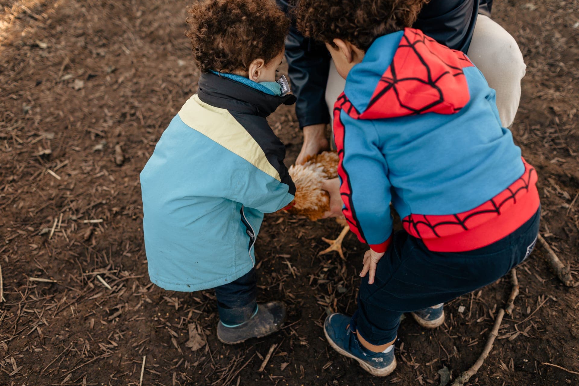 Détail vue plongée deux enfants découvrent une poule à la ferme — séance famille nature