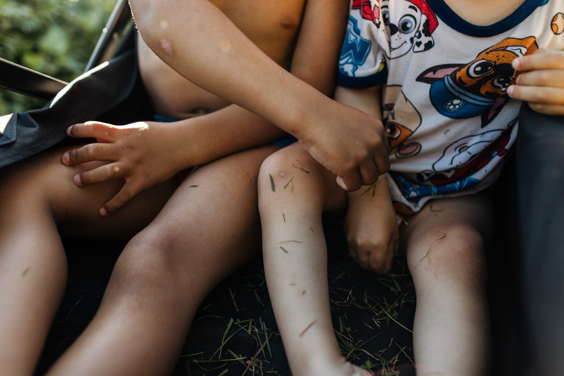Détail mains et jambes de deux frères assis ensemble dans la charrette brins d'herbe sur les jambes — séance famille fratrie complicité été