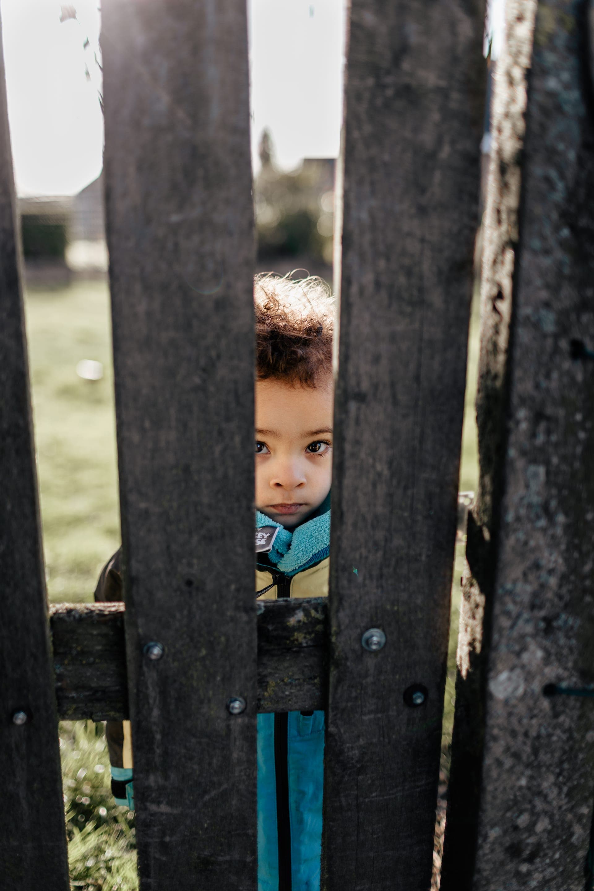 Enfant regarde à travers une barrière en bois à la campagne — séance famille poétique
