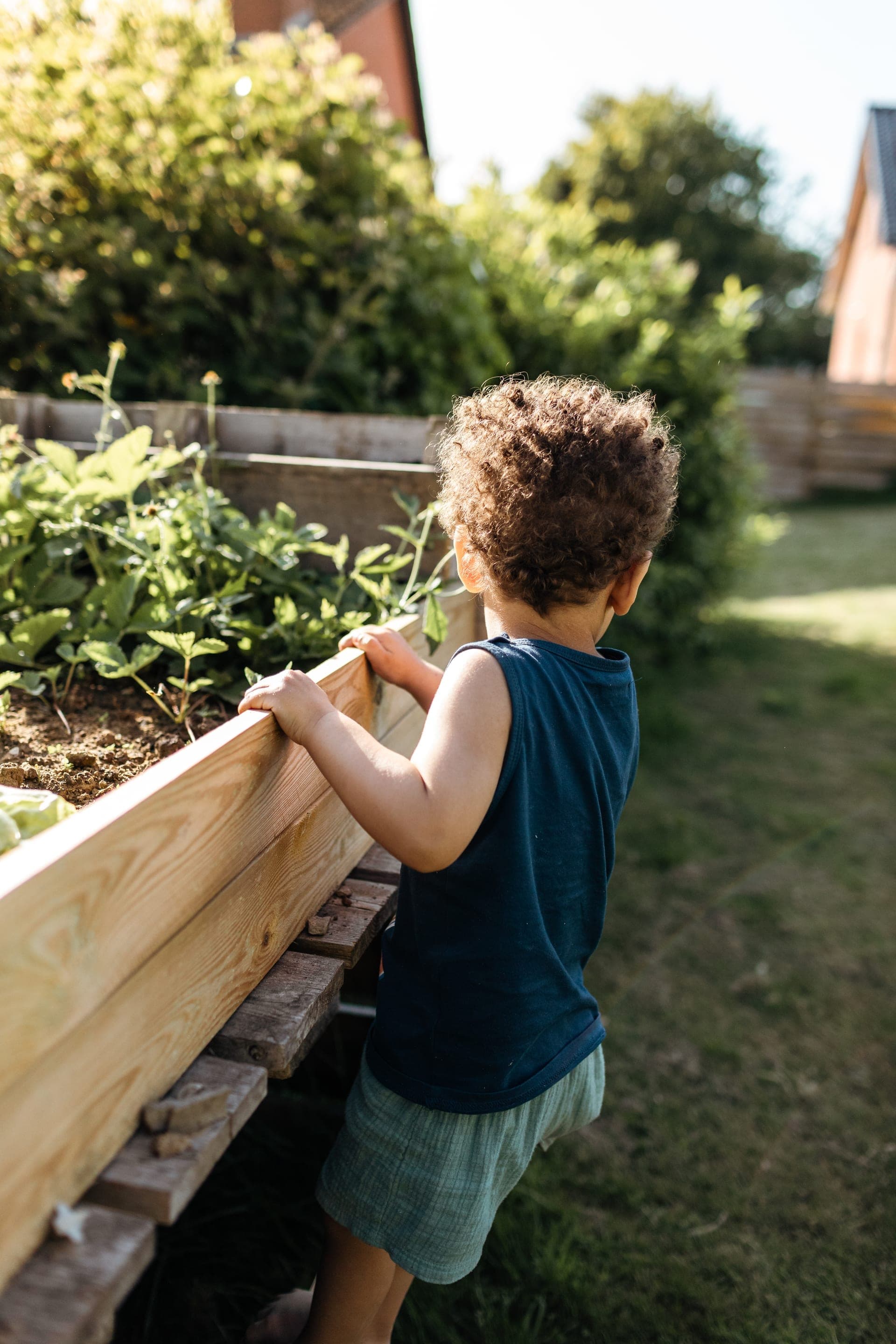 Enfant cheveux bouclés débardeur bleu marine de dos observe le potager carré en bois dans le jardin en été — séance famille lifestyle jardin Aurore Clercq Photographie Brabant Wallon