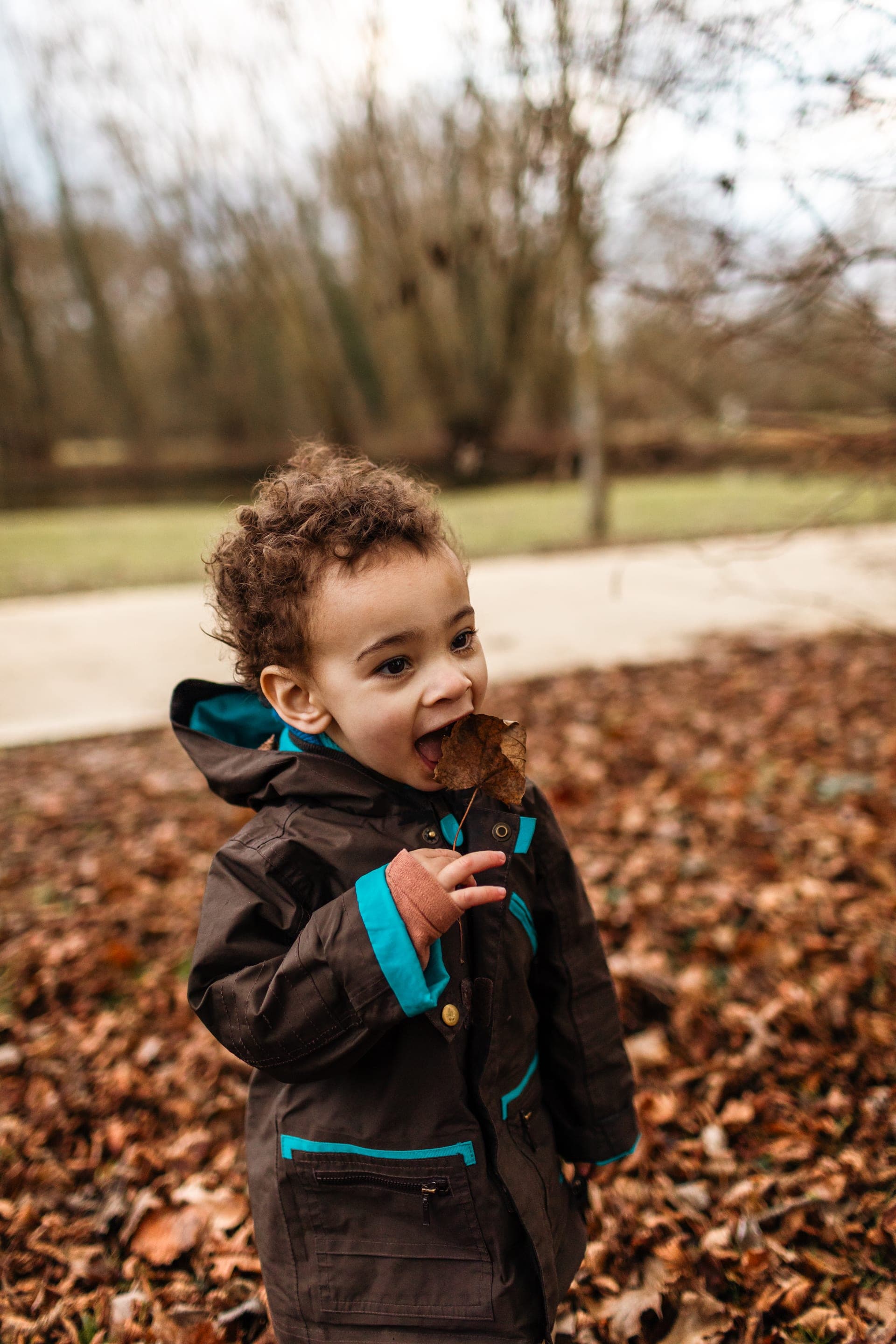Enfant avec une feuille morte dans un parc d'automne — séance famille curiosité