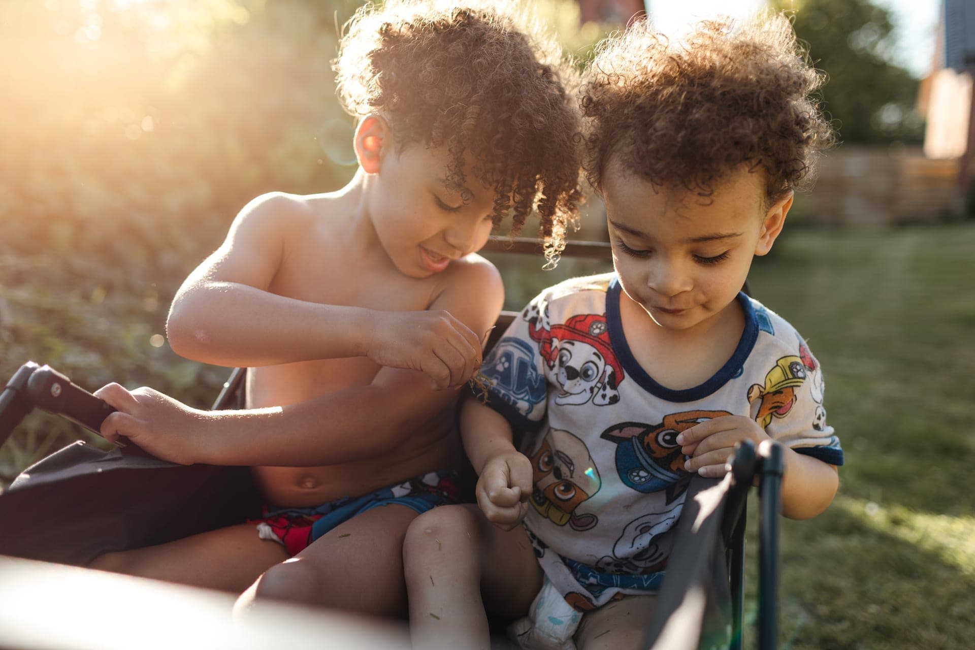 Deux frères aux cheveux bouclés complices côte à côte dans une charrette de jardin contre-jour estival — séance famille fratrie Aurore Clercq Photographie